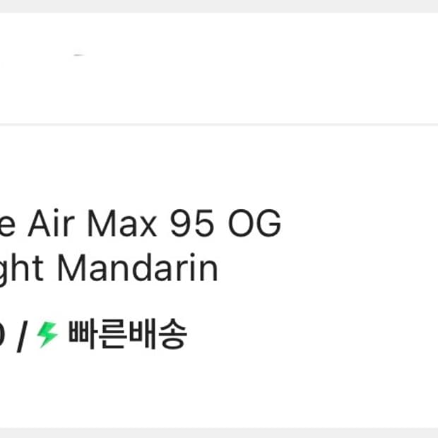 (290) 나이키 에어맥스 95 브라이트 만다린