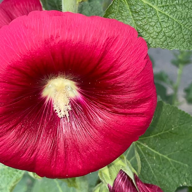 개인결제창🌷