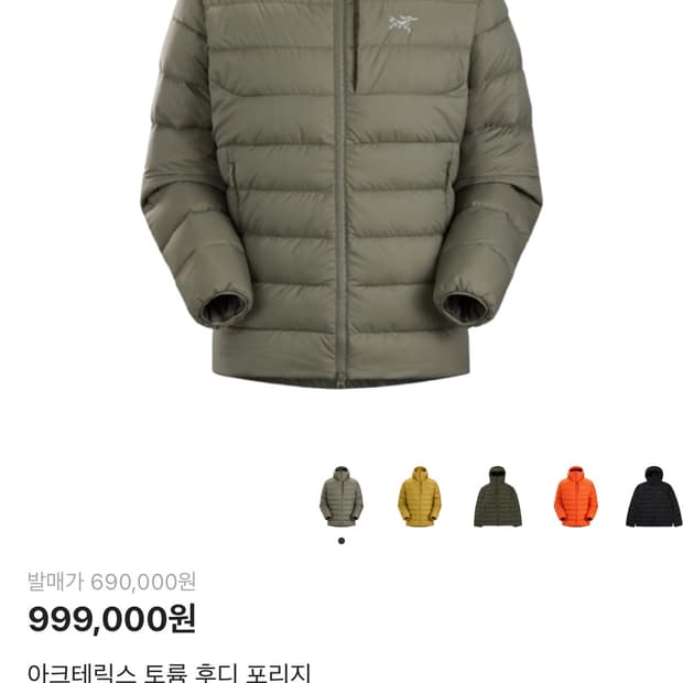 아크테릭스 토륨 후디 포리지