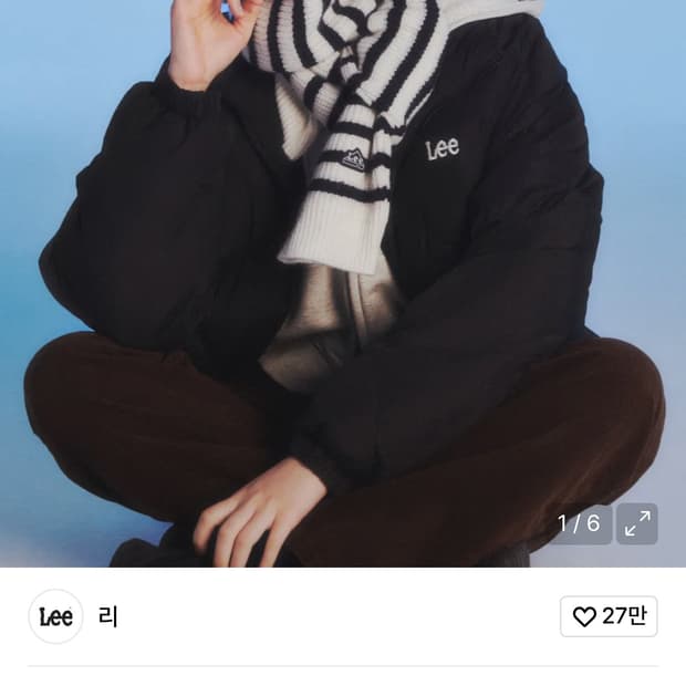 lee 스트라이프 머플러