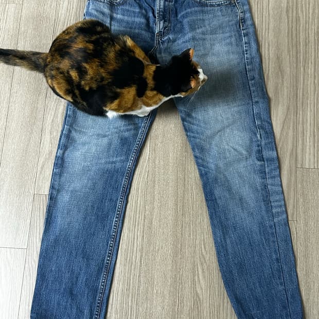 리바이스 523 (W32 L33)