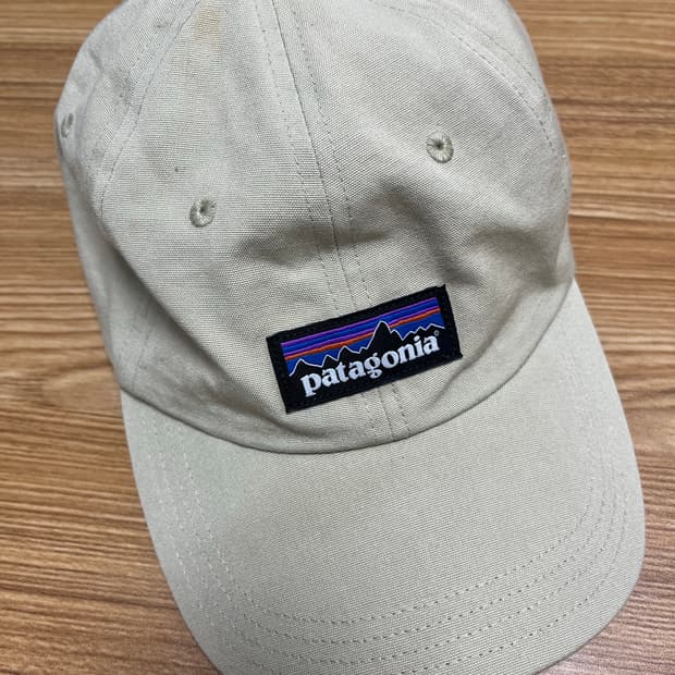 파타고니아 P-6 레이블 로우 프로 트러커 캡