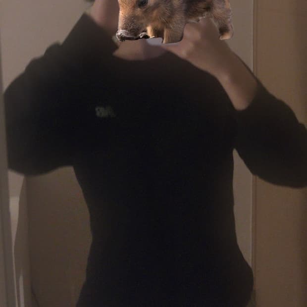 뉴발란스 슬림핏 맨투맨