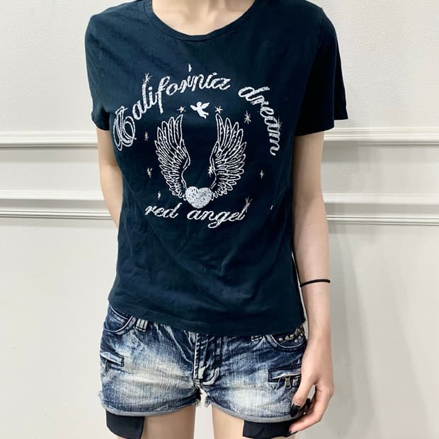 Y2K Wings Print Tee
