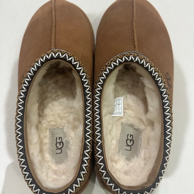 어그 타스만2 체스트넛