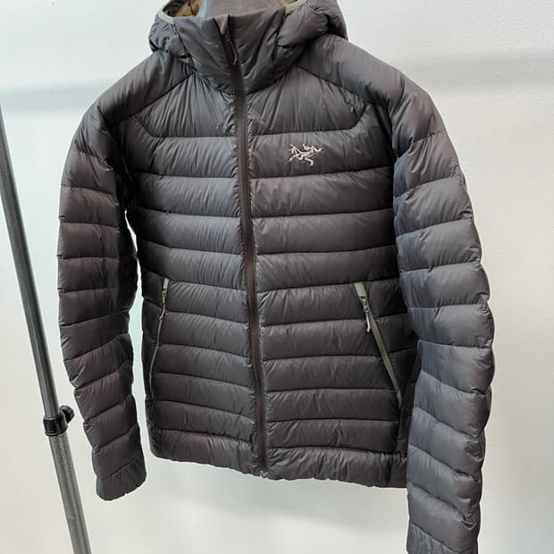 M) 아크테릭스 세륨 브라운 