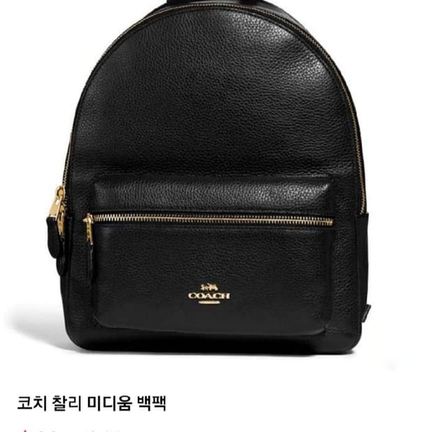 코치 찰리 미디움 레더 백팩