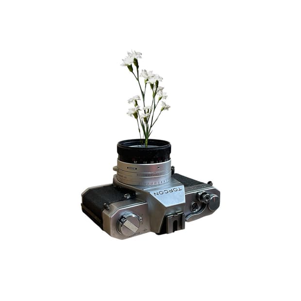 Camera Vintaga vase