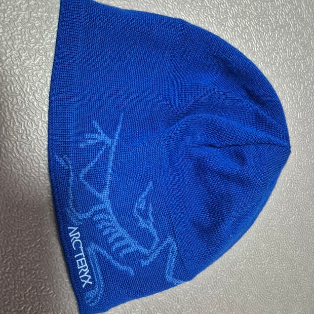 아크테릭스 숏 비니