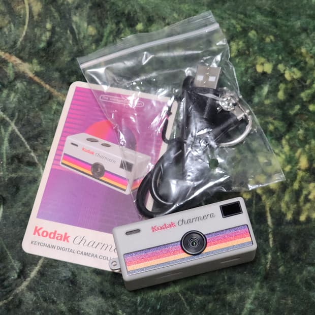 코닥 차메라 그레이