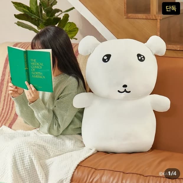 미개봉 가나디 바디필로우 (무배/배송지 변경 발송)