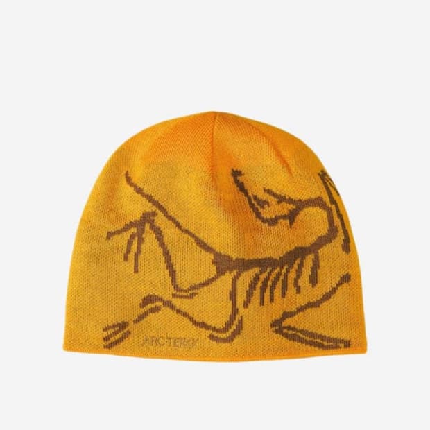 아크테릭스 비니Arc'teryx Bird Head Toque Oracle