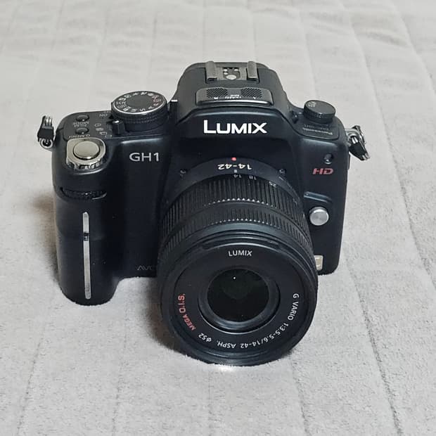 파나소닉 루믹스 GH1 카메라와 14-42mm 렌즈