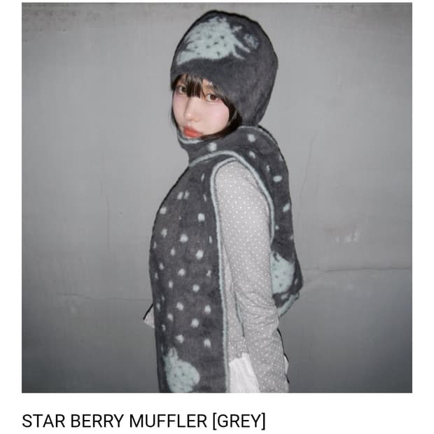 비디오자키 머플러