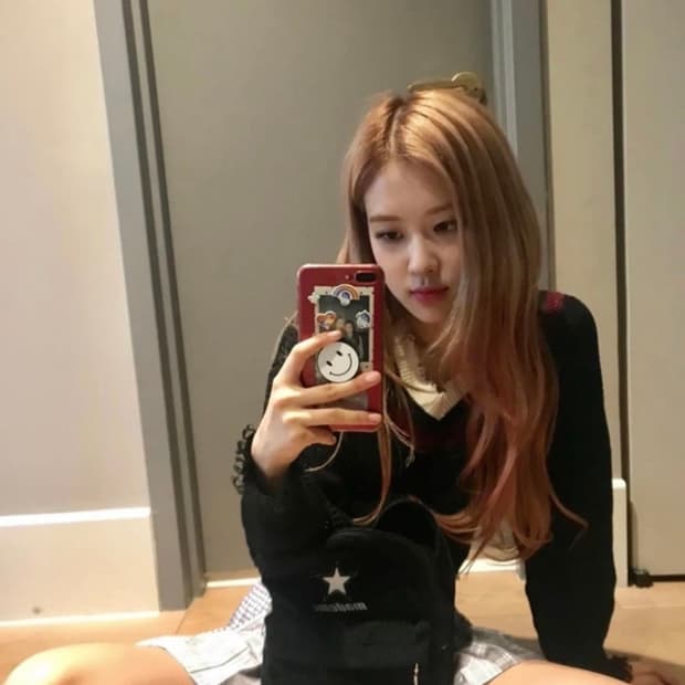 로제 착용 알렉산더왕 크롭 니트 