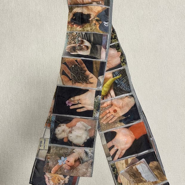 팔로마울 스카프