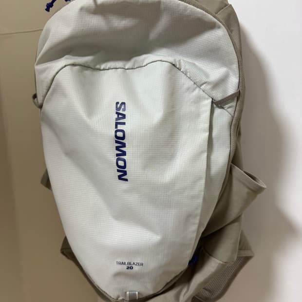 살로몬 백팩 20L