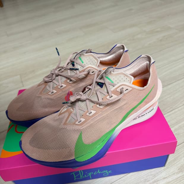 나이키 베이퍼플라이4 엘리우드 킵초게 실트래드파이어펑크