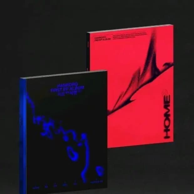 한로로 이상비행 + 집 cd 일괄