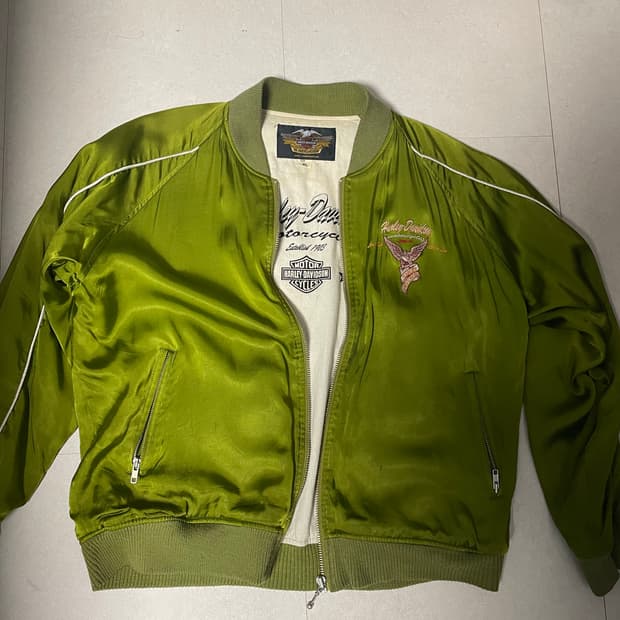 할리데이비슨 그린 스카잔