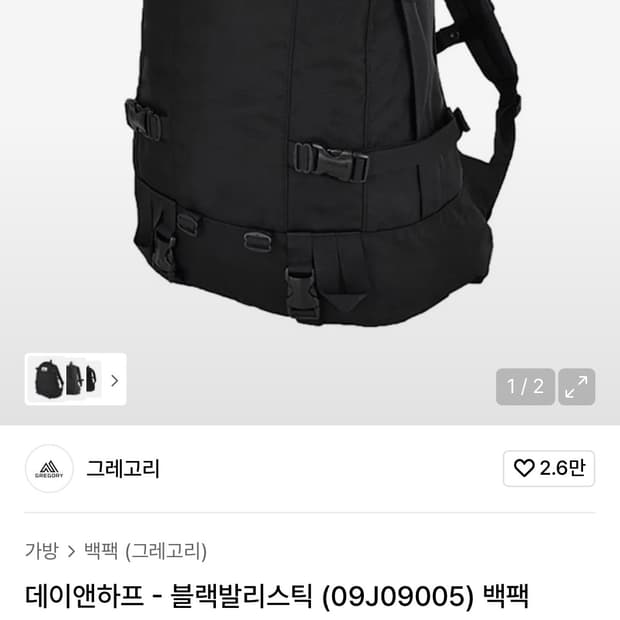 그레고리 데이앤하프 백팩