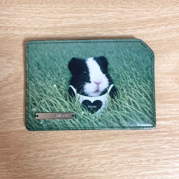 미세키서울 기니 지갑