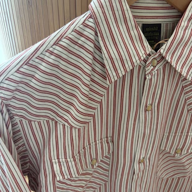 Splendid Satisfaction Western Shirt