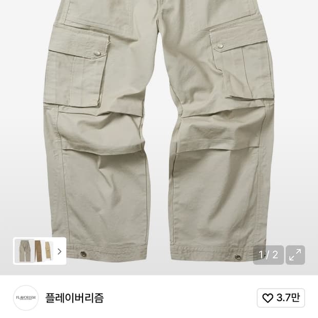 플레이버리즘 퍼티그 카고 팬츠 