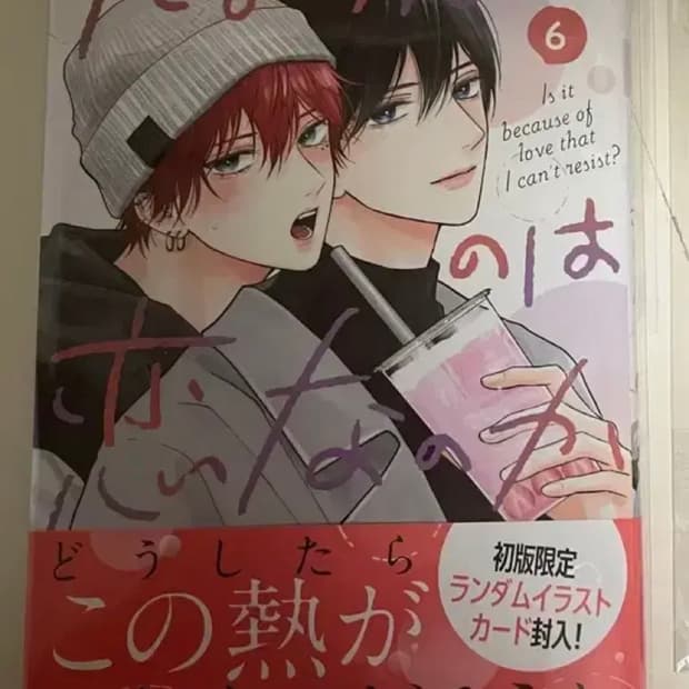 오늘내 판매)BL 일본어판)참을 수 없는 건 사랑인 걸까 6권