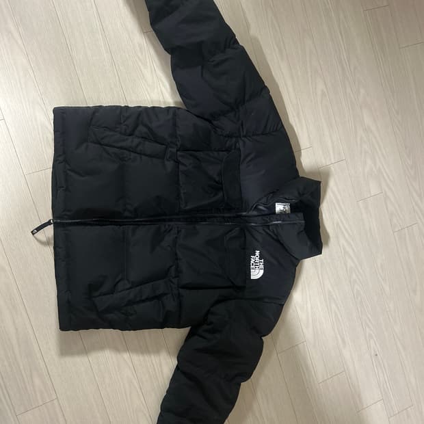 노스페이스 구스다운