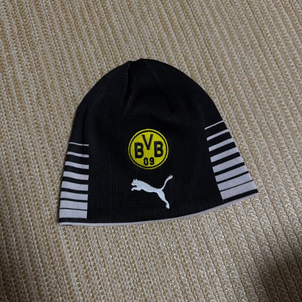 도르트문트 비니 축구