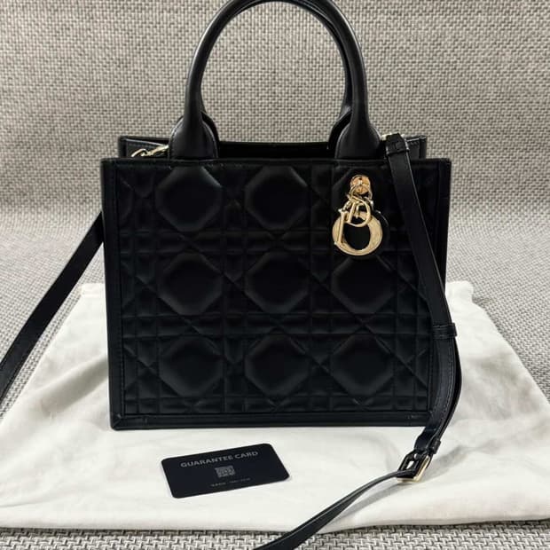 디올 북토트 스몰 까나쥬 