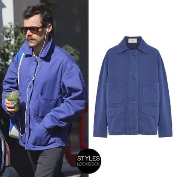 The row josha jacket 구합니다