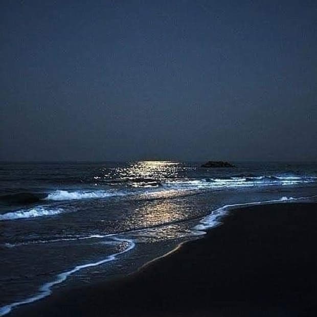 rupyeee 님 결제창입니다 패치워크 원피스2