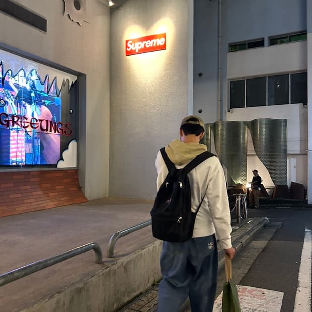 [XL] 라브로스 데이지 진청 