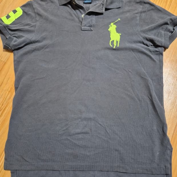 폴로 빅포니 카라티 반팔