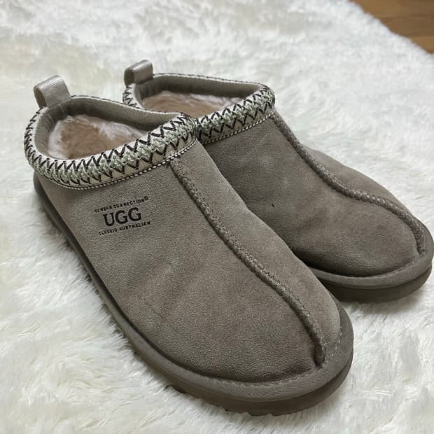 어그 타스만 그레이 260