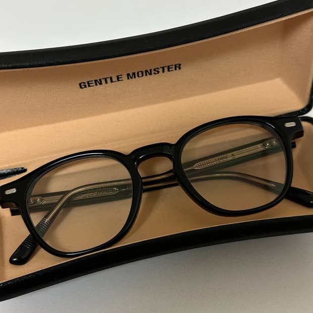 젠틀몬스터 에디 a 01 