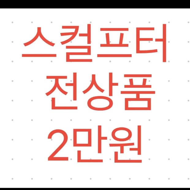 스컬프터 새상품 모두 단돈 2만원 오늘만