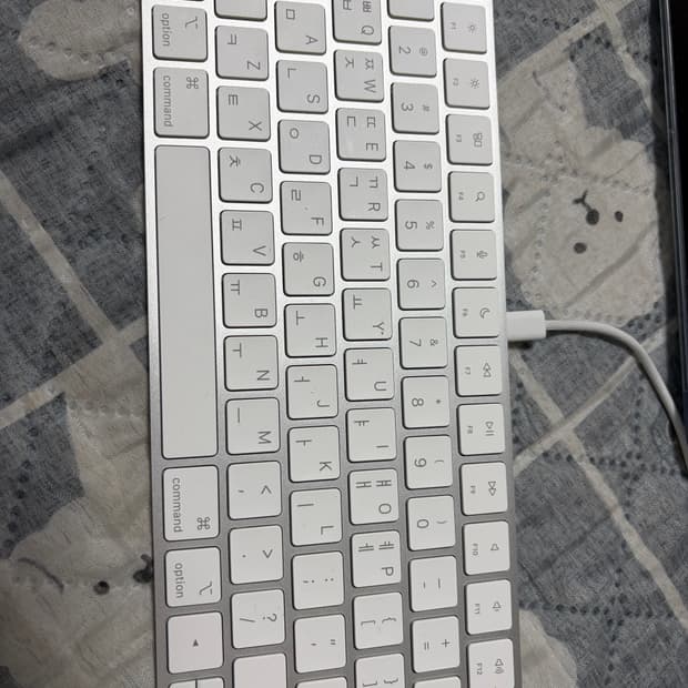 애플 매직키보드