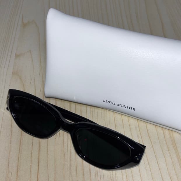 젠틀몬스터 던스