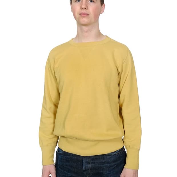 Levi's bay meadows sweatshirt