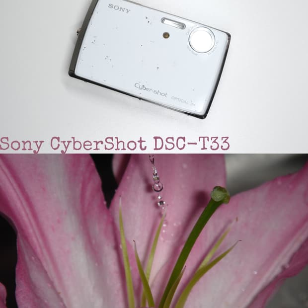 Sony CyberShot DSC-T33