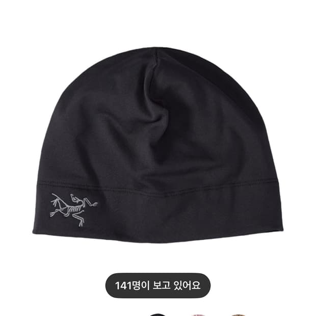 아크테릭스 로 토크 비니 (s-m)