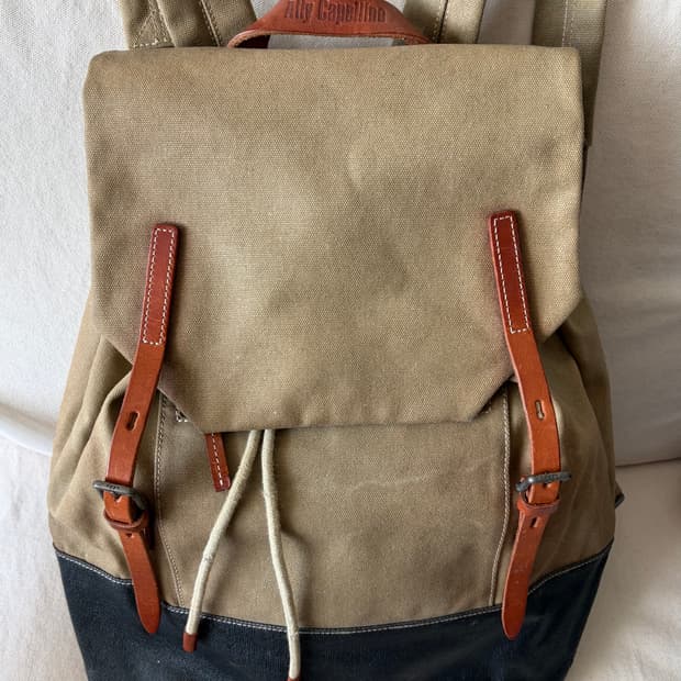 Ally Capellino 백팩