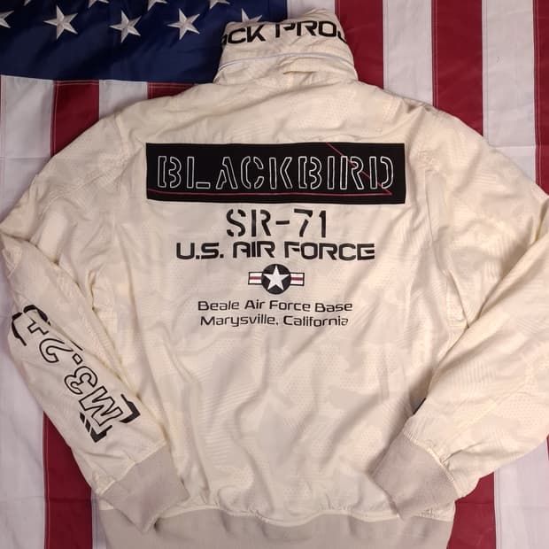 오리지날 아비렉스 USAF 바람막이 자켓