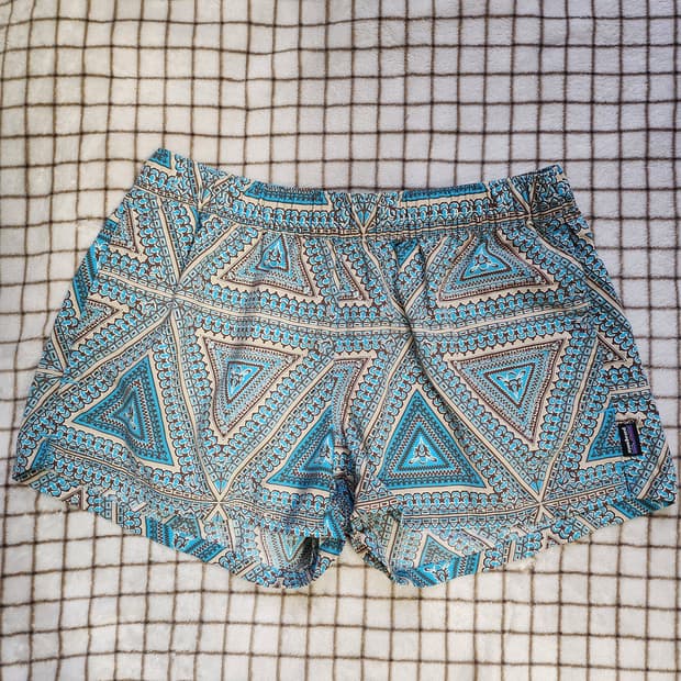 677) 파타고니아 배기 숏 5인치 반바지