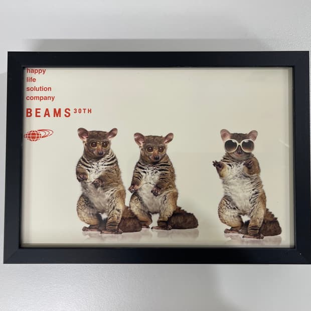 빔즈 30주년 기념 한정 아트 포토 Beams AD2006