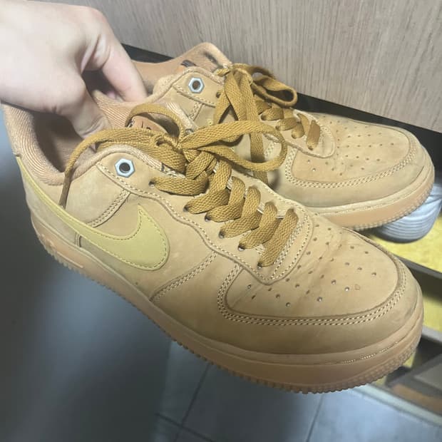 나이키 된장포스 260