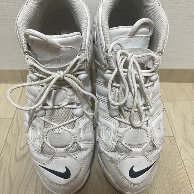 나이키 업템포 295